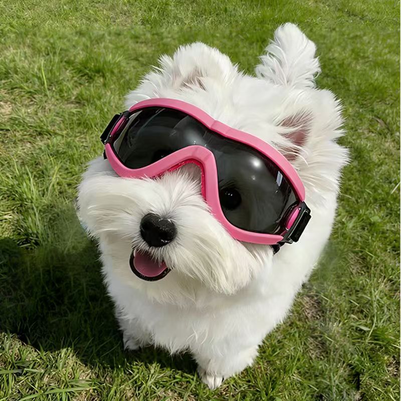 Óculos de Proteção para Cães P - Sunglass Retainer Cord avaliação e preço